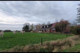 NEU!! FeWo Deichblick OG am Jadebusen/Nordseeküste - Augusthausen - 9
