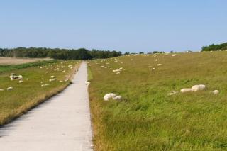NEU!! FeWo Deichblick OG am Jadebusen/Nordseeküste - Augusthausen - 4