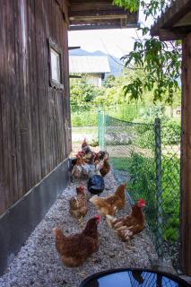 Hanzi Holiday Home - Rečica ob Savinji - 3