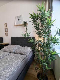 Renovated Studio - 10 min to Center - Vienne - 2