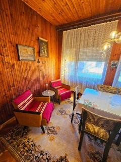 Zorica House Vrbas - Vrbas - 2
