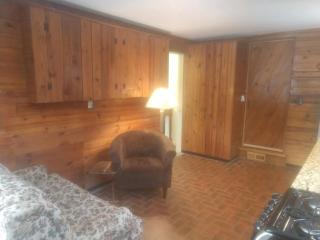 Historic Lakefront Gettaway with Canoe! - Webster - 3
