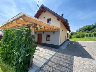 Vineyard Cottage Joanna - Mirna Peč - 8