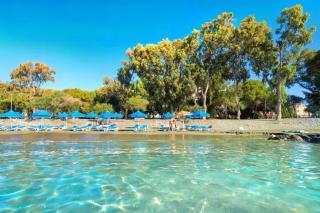 Niko's Urban Beach Living - 6