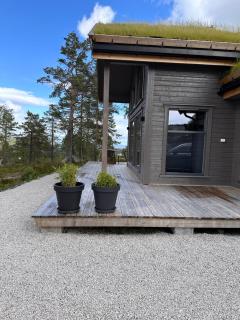 Modern northern lights cabin - Drangedal - 6