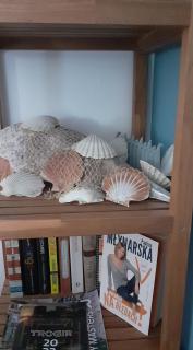 Apartman Mikola with sea view - 5