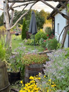 Domki nad rzeką Ełk - 8