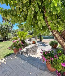 Katerinas Corfiot Maisons - 3