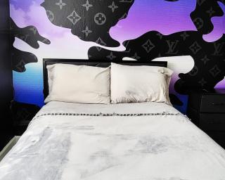 The Gawdy Den with Fast WIFI 2 minutes from Downtown Houston! - 8