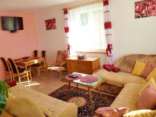 Handa vila - Sušice - 1