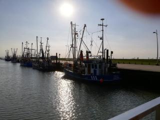 Ferienhaus Carolin am Nordseedeich - 6