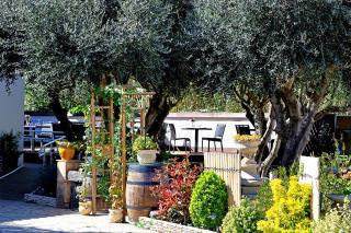 Entre 2 eaux - Marseillan - 3