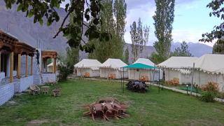 Paradise North Camp - Hundar - 6