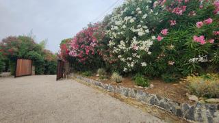 Villa Argonaute - Saint-Tropez - 1