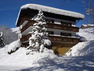 Haus Sonnberg - Mellau - 8