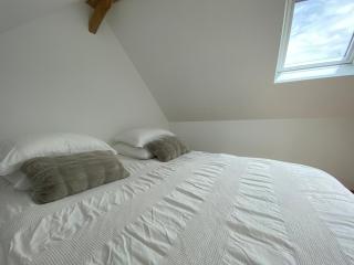 Chambre d'hôtes indépendante Les Agaphantes - Semblançay - 9