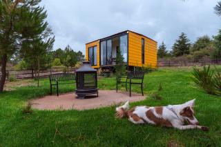 Makalu Cabin in Tapalpa Forest for 4 Guests - Tapalpa - 6