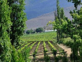 Mymering Wine & Guest Estate - Ladismith - 9