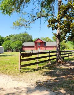 Hawks Nest Loft - Crawfordville - 6