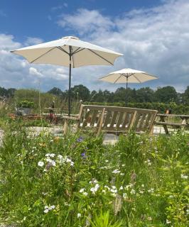 Erve Zonnehoeve B&B en Wijngaard - Vorden - 2