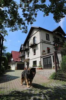 Stokrotka Pokoje i Apartamenty w centrum Szczawnicy - 2