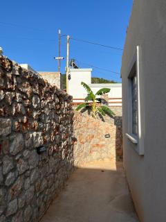 Vickys Inn - 3