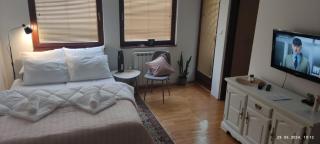 Cozy apartment in the center of East Sarajevo - Sarajevo - 1