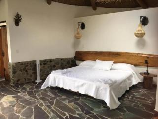 Small Round House with Living Roof - Armenia - 1