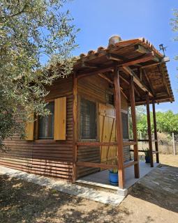 Wooden Beach House - Pyrgadikia - 5
