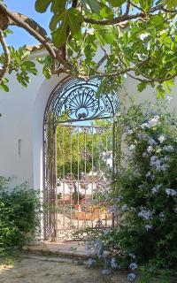 Finca Olivo Llorón - 0