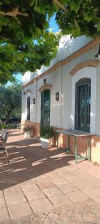 Finca Olivo Llorón - Montilla - 3