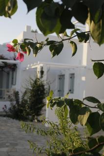Tiepolo Skyros - Skyros - 8