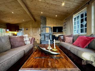 Cozy spacious cabin with sauna at Natrudstilen - 1