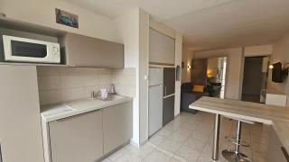 Grand studio rénové avec terrasse et clim ! - 2