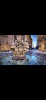 Les quatre dauphins aixois - Aix-en-Provence - 5