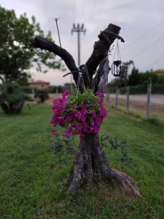 La casa di là. - San Donato - 6