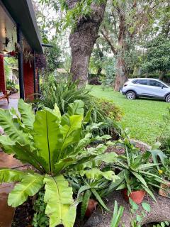 Maravillosa Casa Quinta - 4