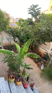 Villa Omrane - Nador - 8