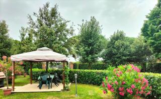 Casa vacanze Bonardini - Castiglione del Lago - 7