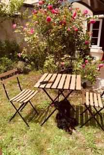 Ibis Rouge - Villars-les-Dombes - 0