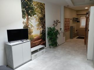 Soukromý apartmán Deluxe - Trutnov - 1