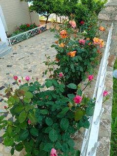 Elision Apartments - Sarandë - 9
