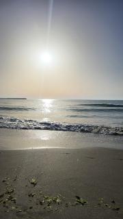 Central Mangalia - Mangalia - 7