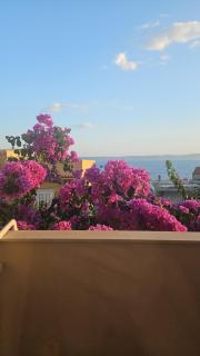 Apartmani Martinovka - Drašnice - 9