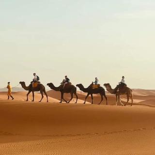 Trekking Desert - Merzouga - 0