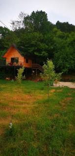 Villa Treehouse - Ferizaj - 0