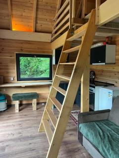 Villa Treehouse - Ferizaj - 3