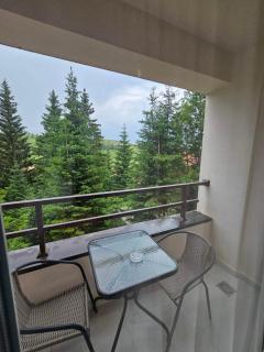 Boutique apartments & rooms Dora - Žabljak - 1