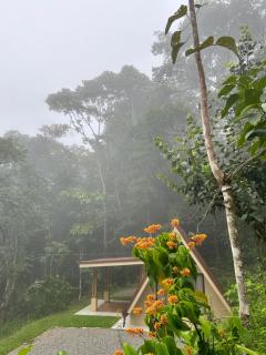 S Dorado - - 1
