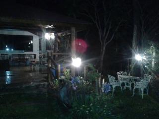 Casa dentro da floresta - 4